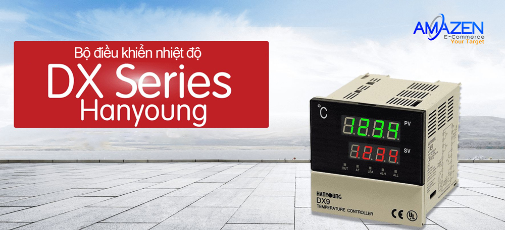 Đồng hồ nhiệt Hanyoung DX Series