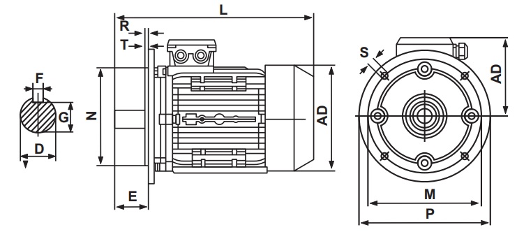 Dimensions of Transmax B5