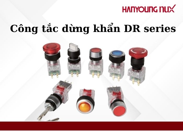 Things to know about Hanyoung DR series emergency stop switches